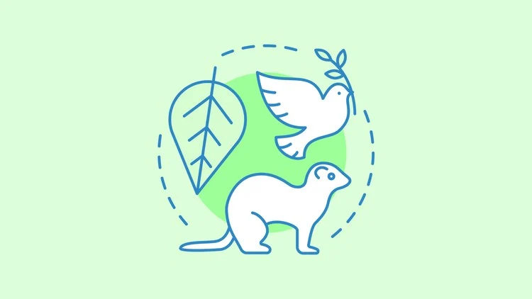 Biodiversity and Conservation Explained